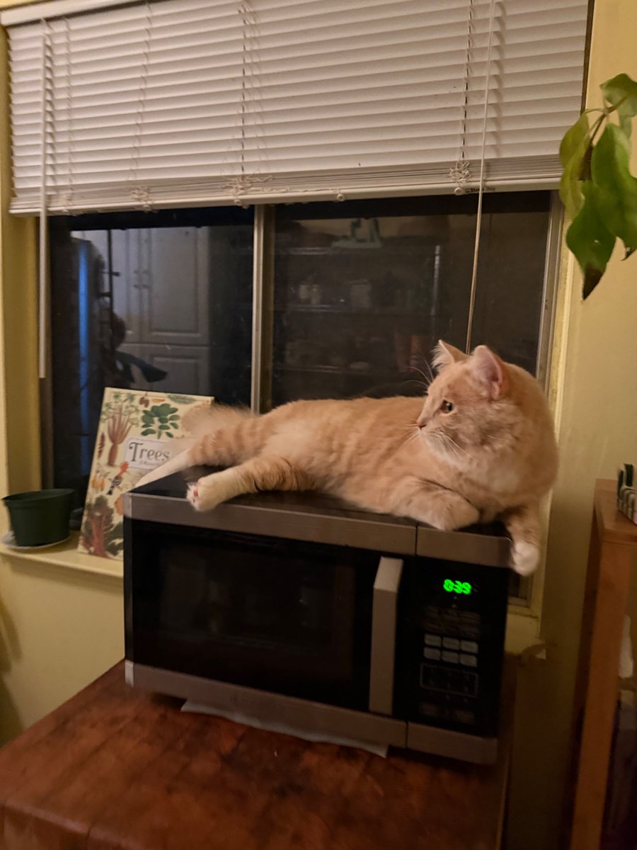 art sensitive tweet media