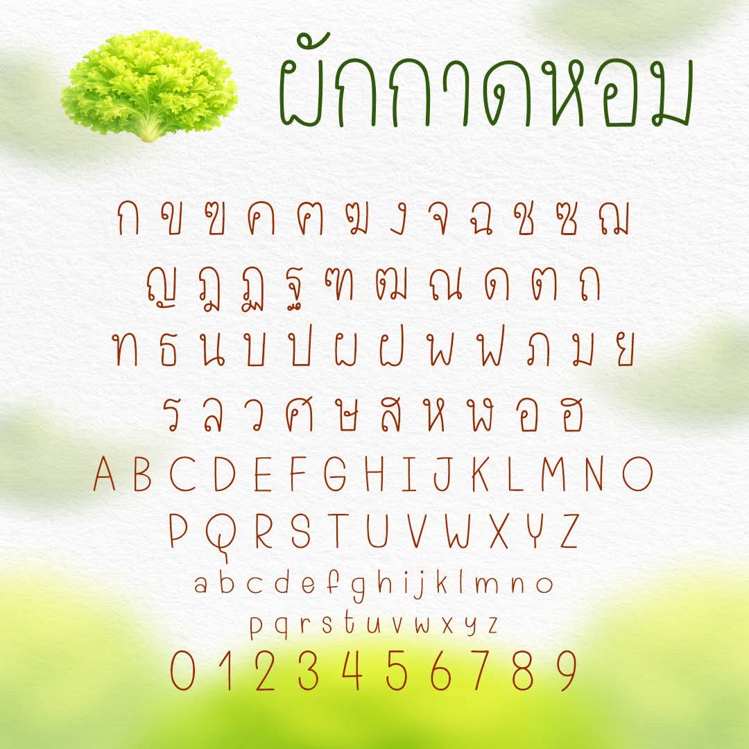 maneemeefont's tweet photo. 🥬✨ใหม่ล่าสุด! ฟอนต์ "ผักกาดหอม"🥗
⏰ โปรโมชั่นเปิดสวน (3 วันเท่านั้น!)
• บุคคลธรรมดา: 89.- (ปกติ 150.-)
• นิติบุคคล: เริ่มต้น 399.- (ปกติ 500.-)
📅 วันนี้ - 11 มี.ค. 69 เท่านั้น!
🛒 สนใจสั่งซื้อ/สอบถาม ทักแชทหามานีได้เลยค่ะ! #ฟอนต์ใหม่ #มานีมีฟอนต์ #MNPhakKadHom https://t.co/KhfeKNSHUI