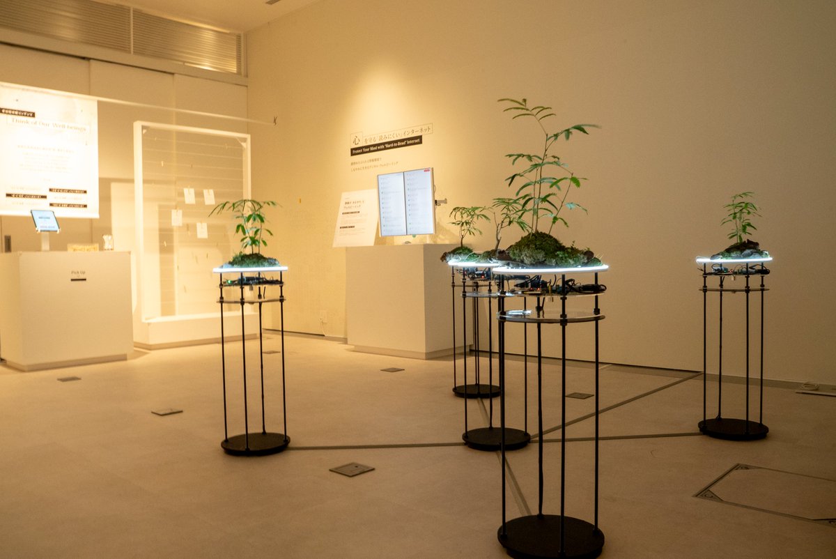 Yasuaki Kakehi 筧 康明 tweet media