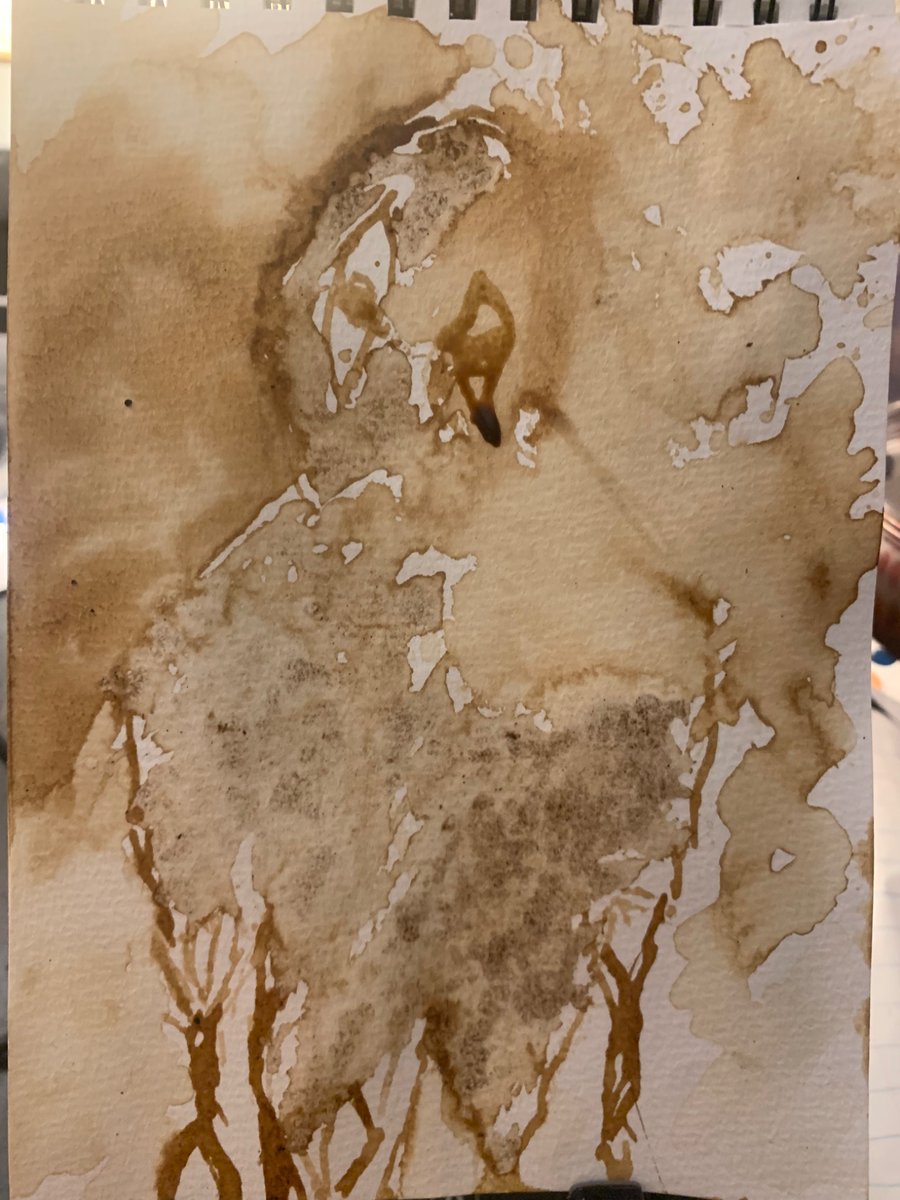orangejesta's tweet photo. tried using coffee to paint with new sketchbook #graceroblox #PooRue https://t.co/zFOQNVvTsc