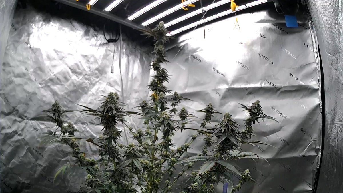 #--R--H😎E--C--# tweet media