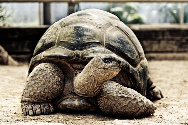 Brian Woolley tweet media