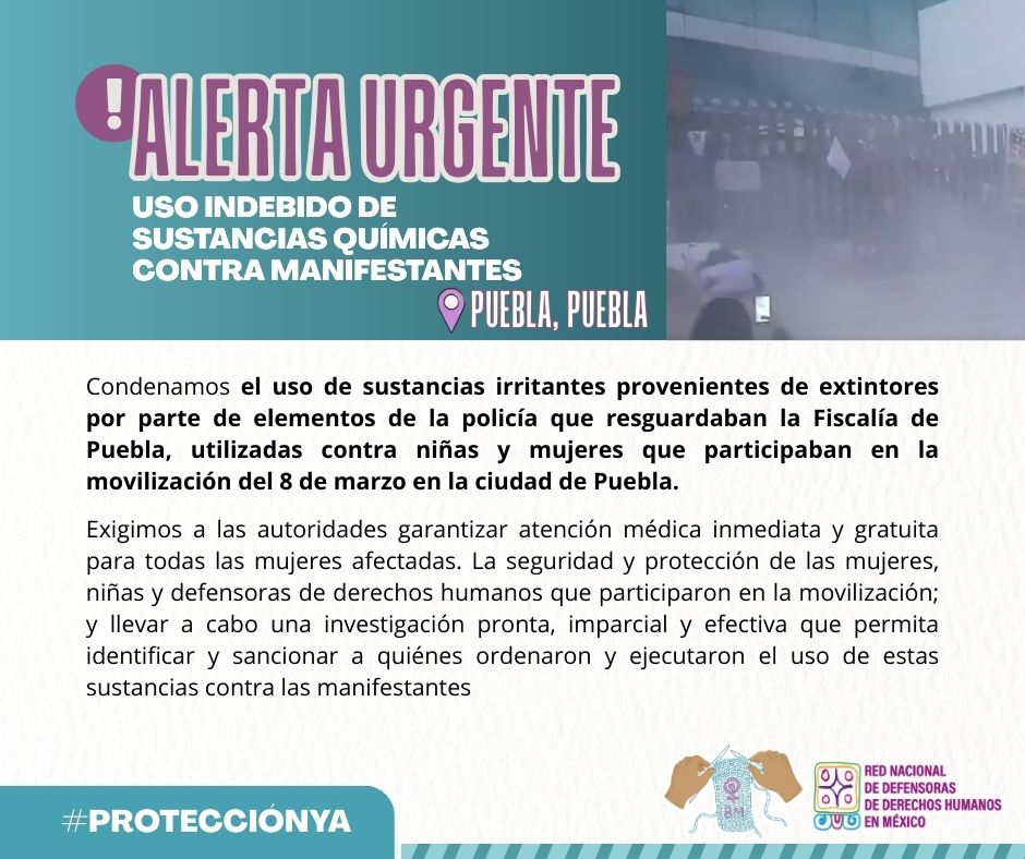 𝗥𝗲𝗱 𝗗𝗲𝗳𝗲𝗻𝘀𝗼𝗿𝗮𝘀 𝗠é𝘅𝗶𝗰𝗼 tweet media