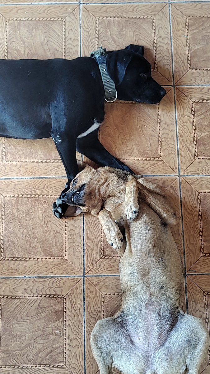 De este par ❤️‍🩹