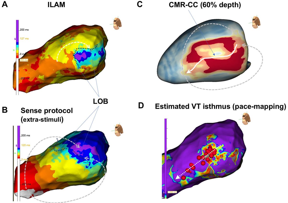 Twinkle xu tweet media