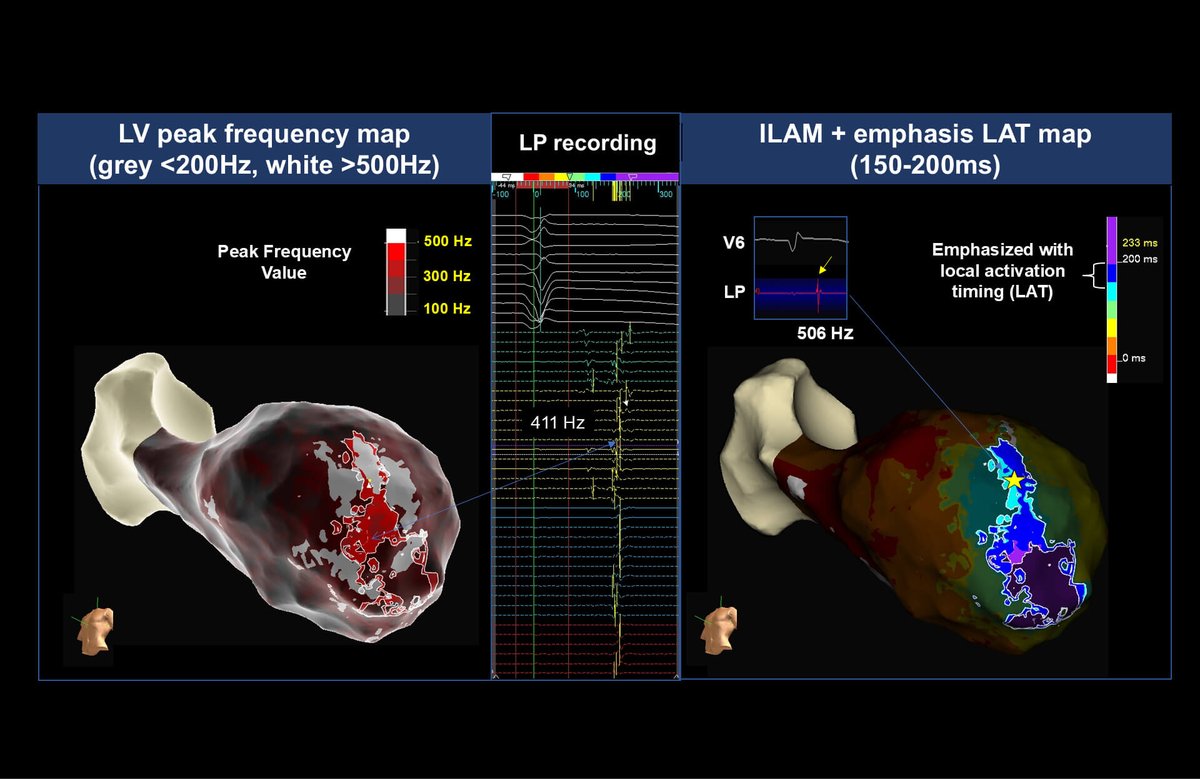 Twinkle xu tweet media