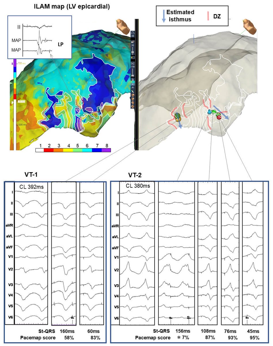 Twinkle xu tweet media