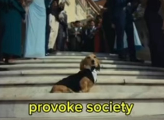 matheus lopes tweet media