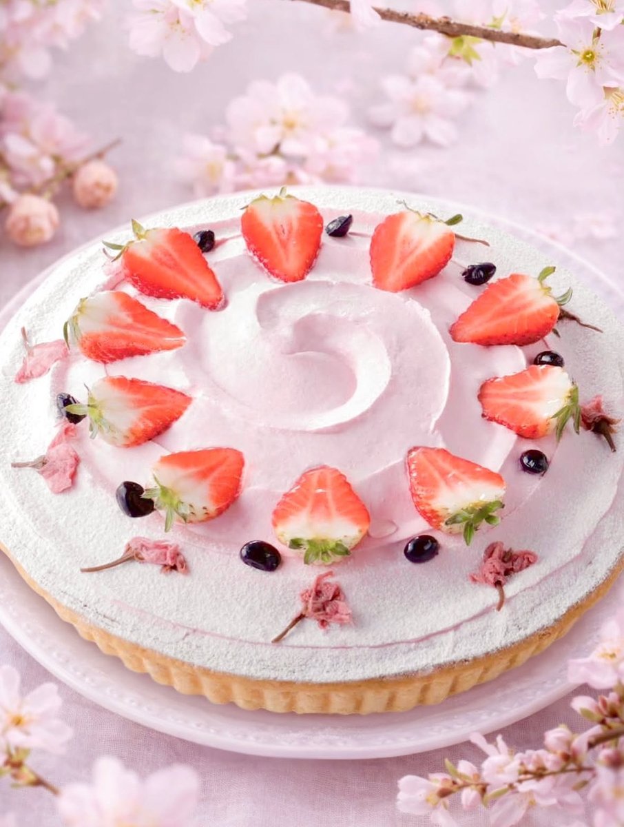 FruitscakeSHT's tweet photo. こんにちは🌞
フルーツケーキファクトリーです🏭🍓

🌸春の新作タルトのご紹介🌸

▪️桜と黒豆のタルト🌸🖤

黒豆入りのカスタードに桜風味の生クリーム、抹茶スポンジを組み合わせた和風のタルトです。 https://t.co/hqujQffTHk