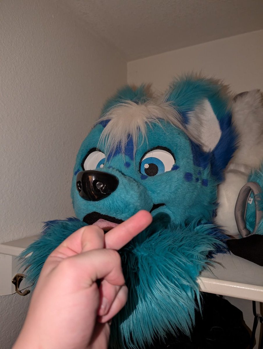 Saiiii 🔜 FE tweet media