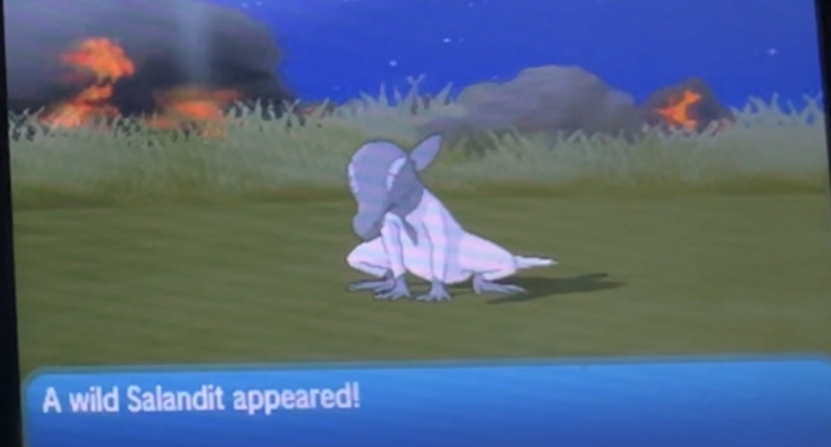 Port (Claire)🏳️‍⚧️ tweet media