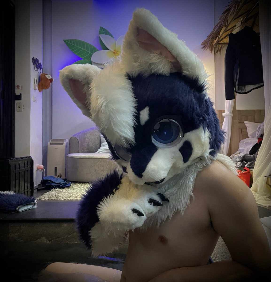 黑糖．悠 BSYo🦊🔜UTFG2026 tweet media