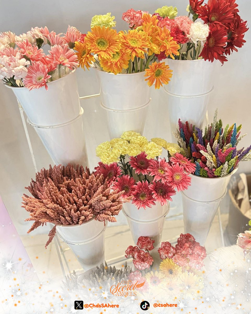 We would like to sincerely thank the ever-generous Ms. Kaitlin for being so supportive of Charlie. Your kindness in responding to our message and for sponsoring everything for Charlie’s Meet and Greet truly means a lot to us. We deeply appreciate your help and generosity. 🧡