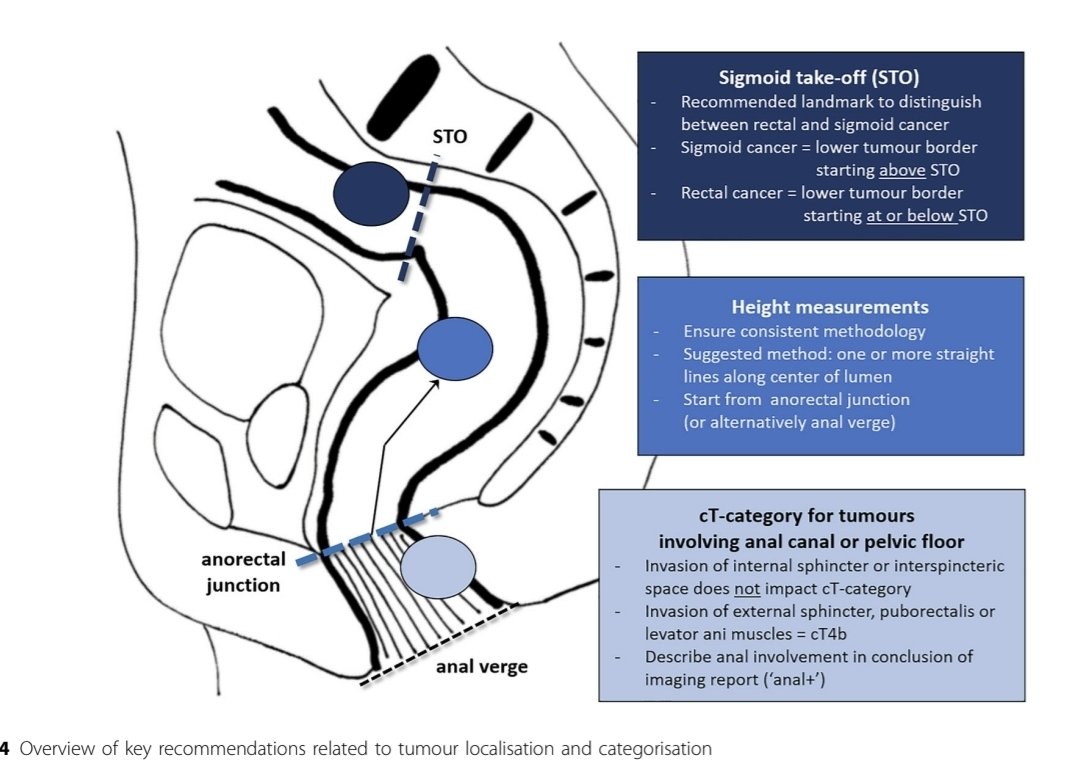 Rohit Malde tweet media