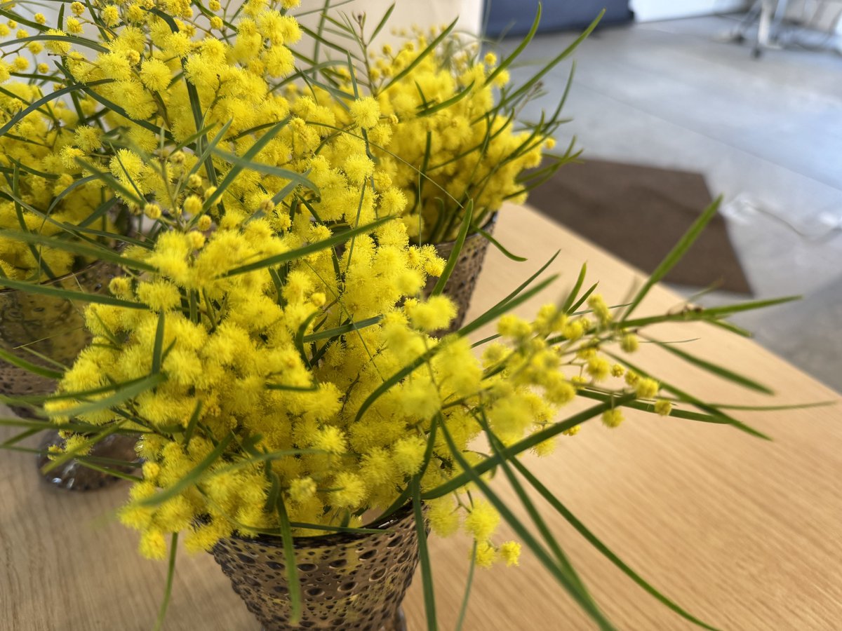 IRCMS, Kumamoto University tweet media