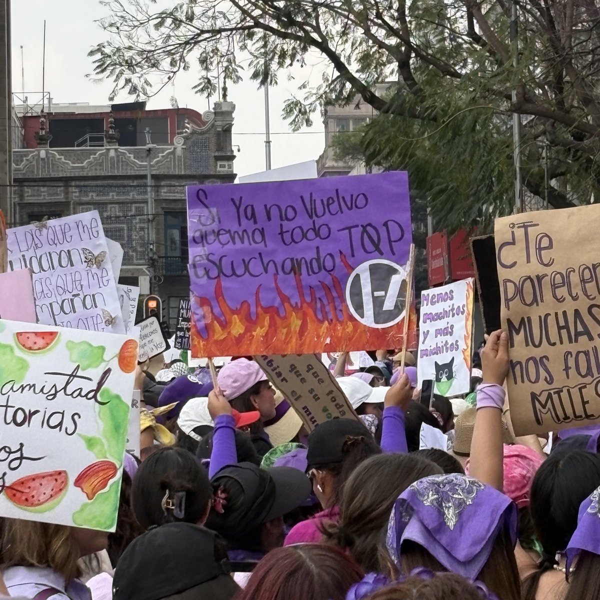 anna_lauriss's tweet photo. Te quiero mucho, chica con este cartel en  la marcha #8M2026 💜🔥 #TØP https://t.co/d2rEYiKfkP