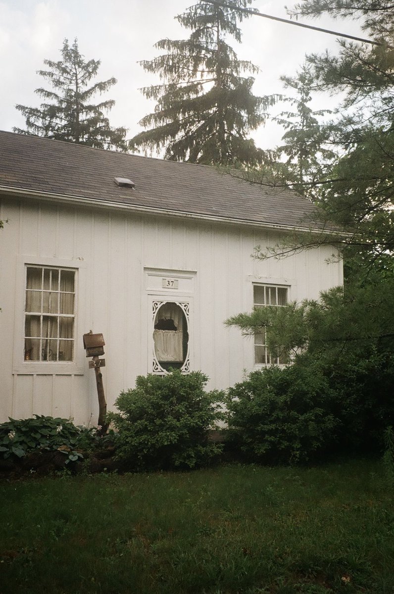 dreamland tweet media