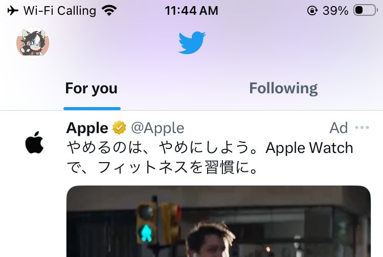 Zerlight tweet media