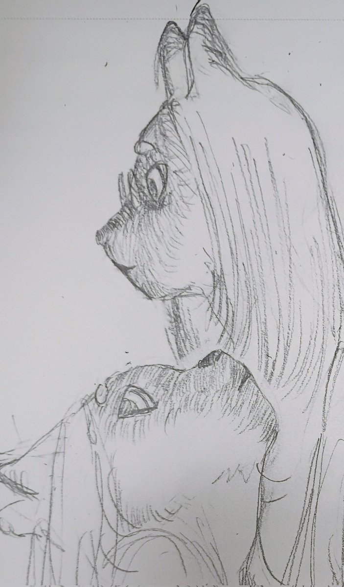 Brighter... tweet media