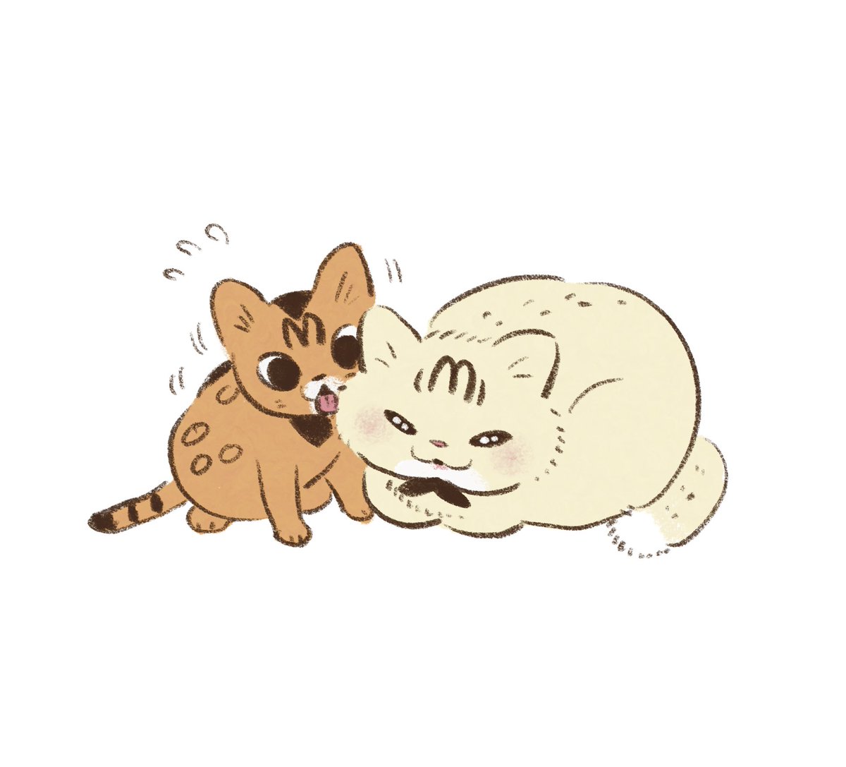 シナリー　R2など　ねこx2⭐︎様 ぺろぺろしゃりしゃり