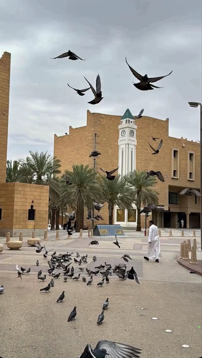 iQQOOP's tweet photo. أصبحنا وأصبح الملك لله رب العالمين ,اللهم إني أسألك خير مافي هذا اليوم فتحه ونصره ونوره وبركته وهداه وأعوذ بك من شر مافيه وشر ما بعده . https://t.co/dCI5DEBCJ5