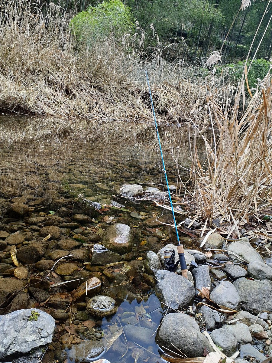 馬場🦟田舎勢🦟 tweet media