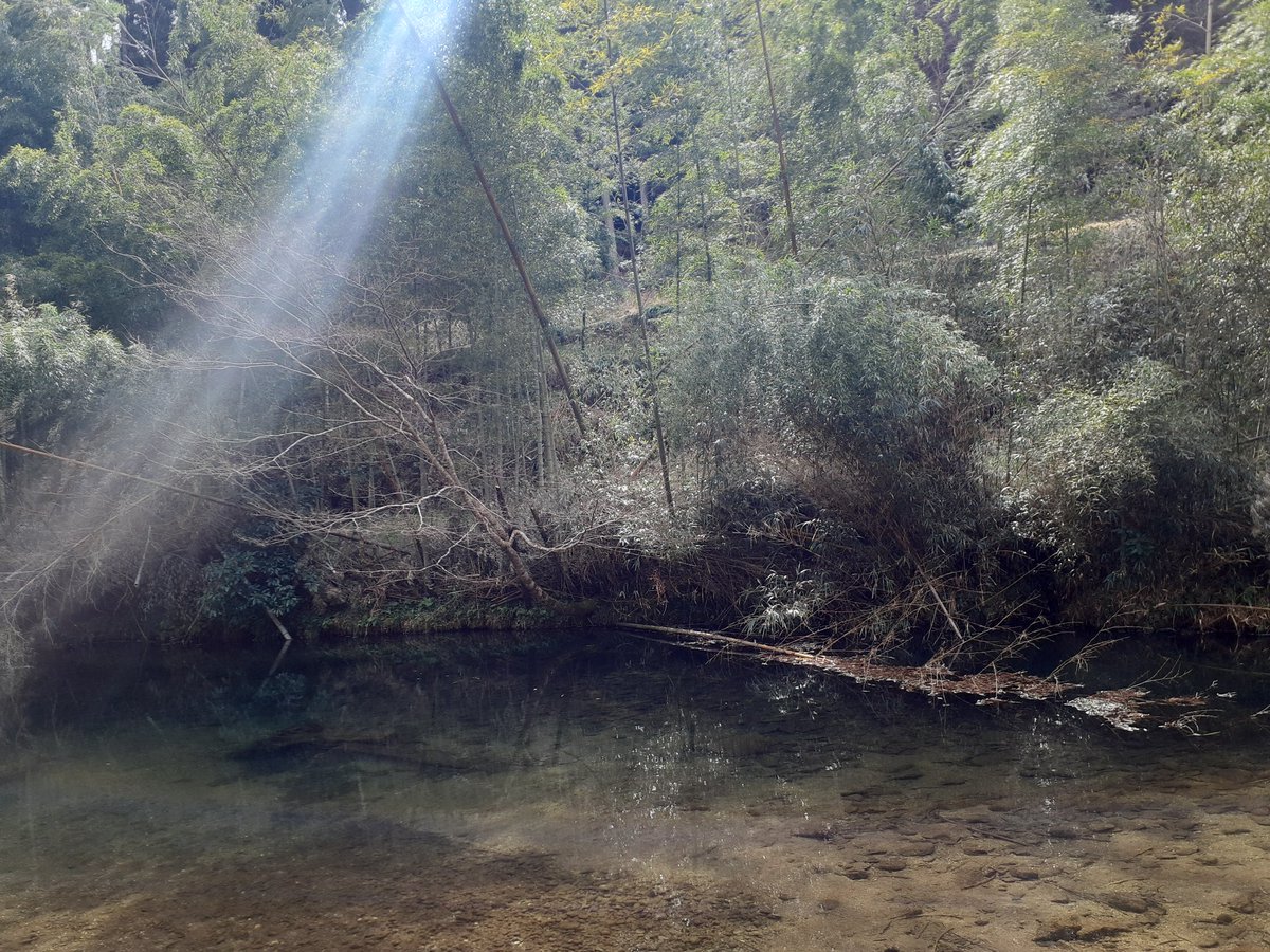 馬場🦟田舎勢🦟 tweet media