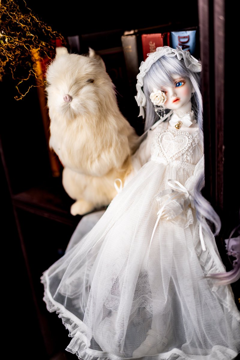 Doll_Hositogi's tweet photo. おひるー(・𖥦・ )
花粉症つらいから、超絶帰りたーい
こんな気分が萎えてる時は。
素敵に撮っていただいた、儚月にしましょ𐔌՞⁔ᱹ ﹼ ̫ ᱹ⁔՞𐦯💕
camera📸 @danjiro54
#プププ会
#LITTLE_MONICA https://t.co/kuw76Hpk1l