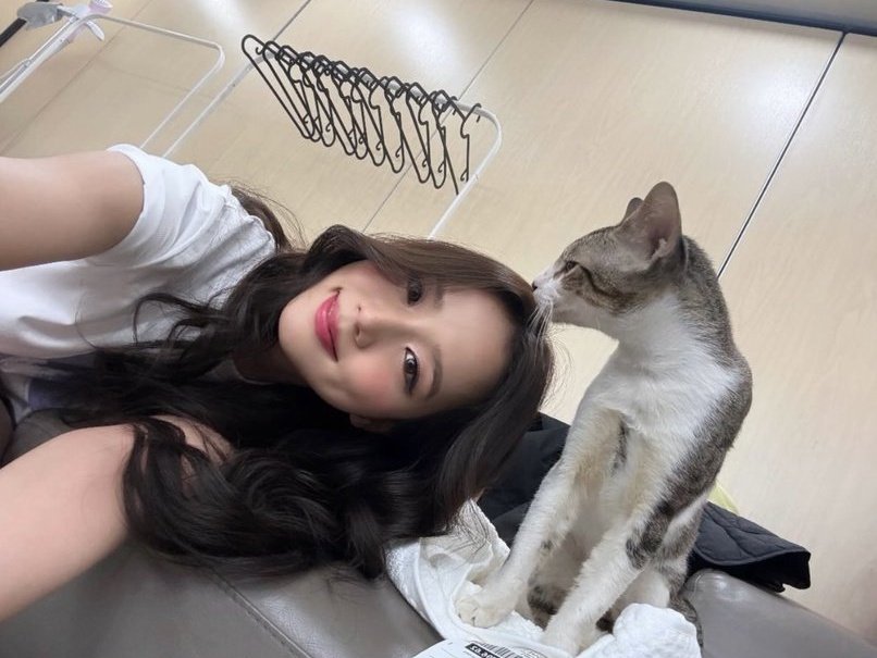 jisoosbloodline's tweet photo. jisoo with cats she met in PH 😆 https://t.co/6TF3zisW0K