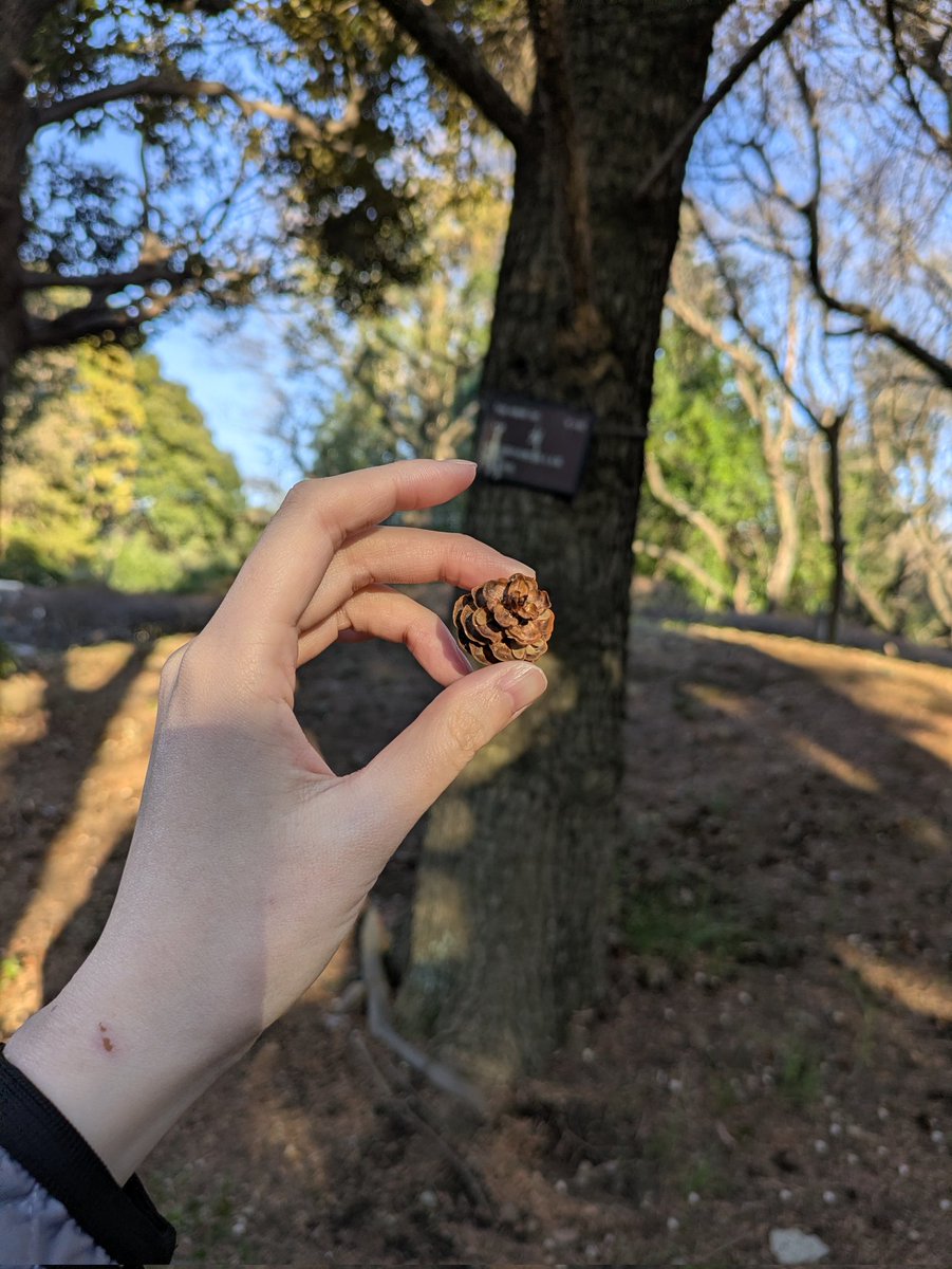 末人(まつじん) tweet media