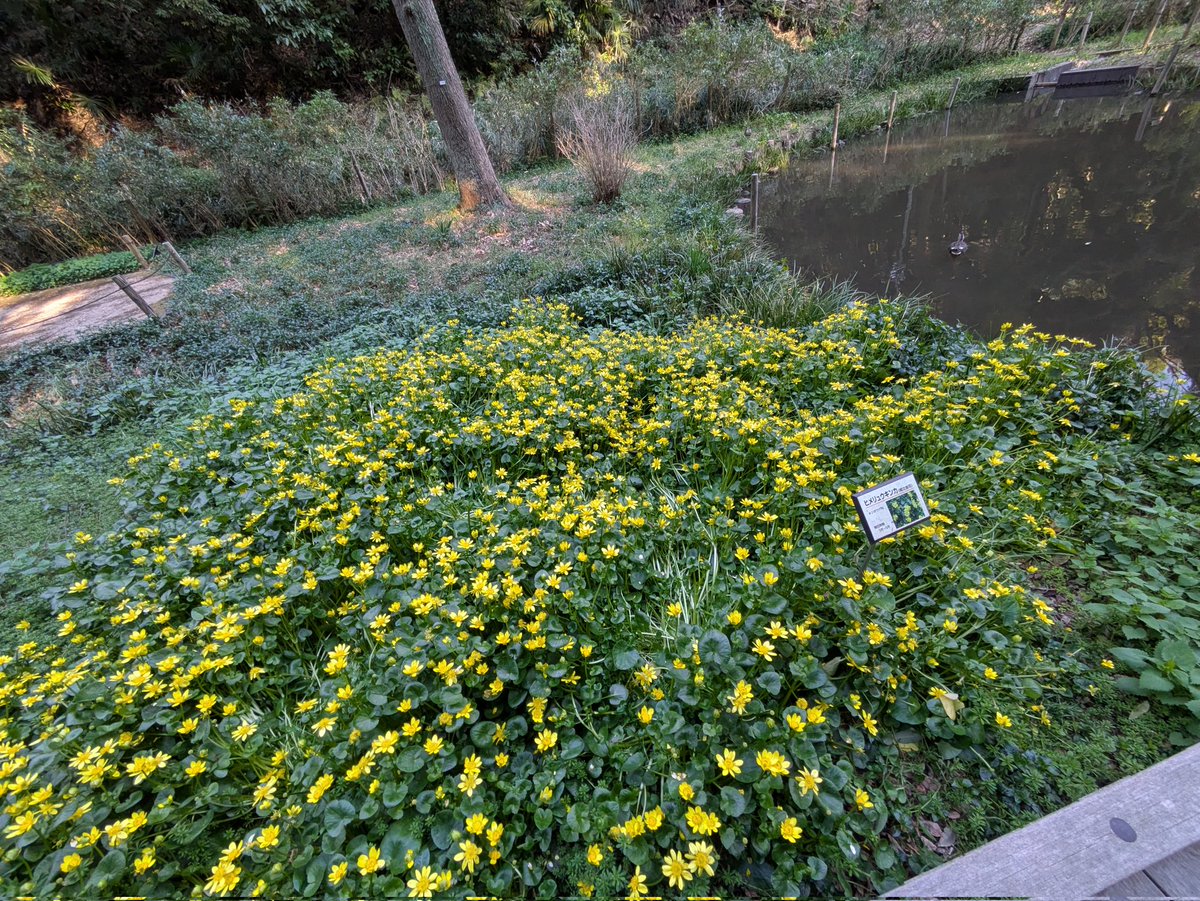 末人(まつじん) tweet media