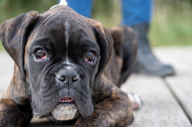 Sharon Barrow tweet media