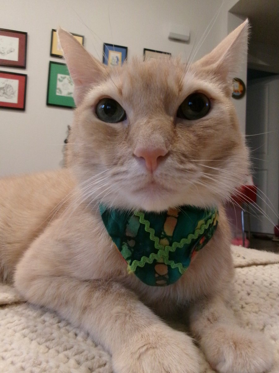 Travis Ford tweet media