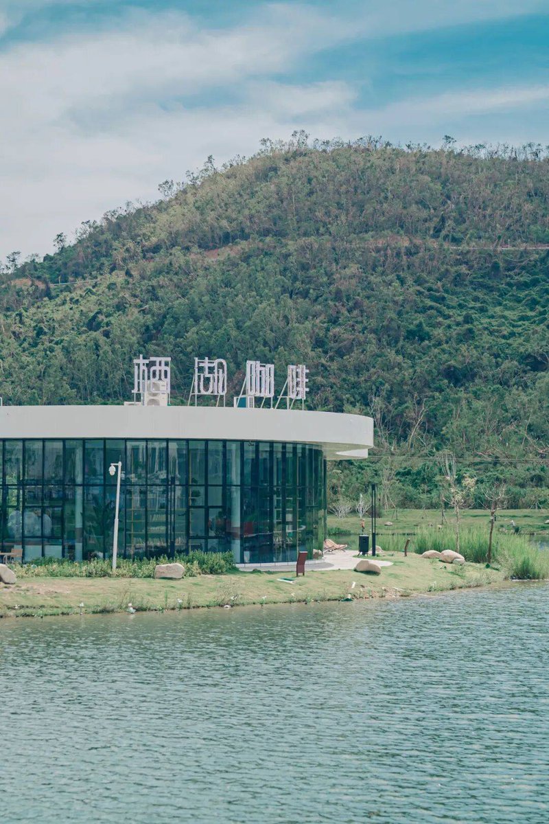 Z Assistant tweet media