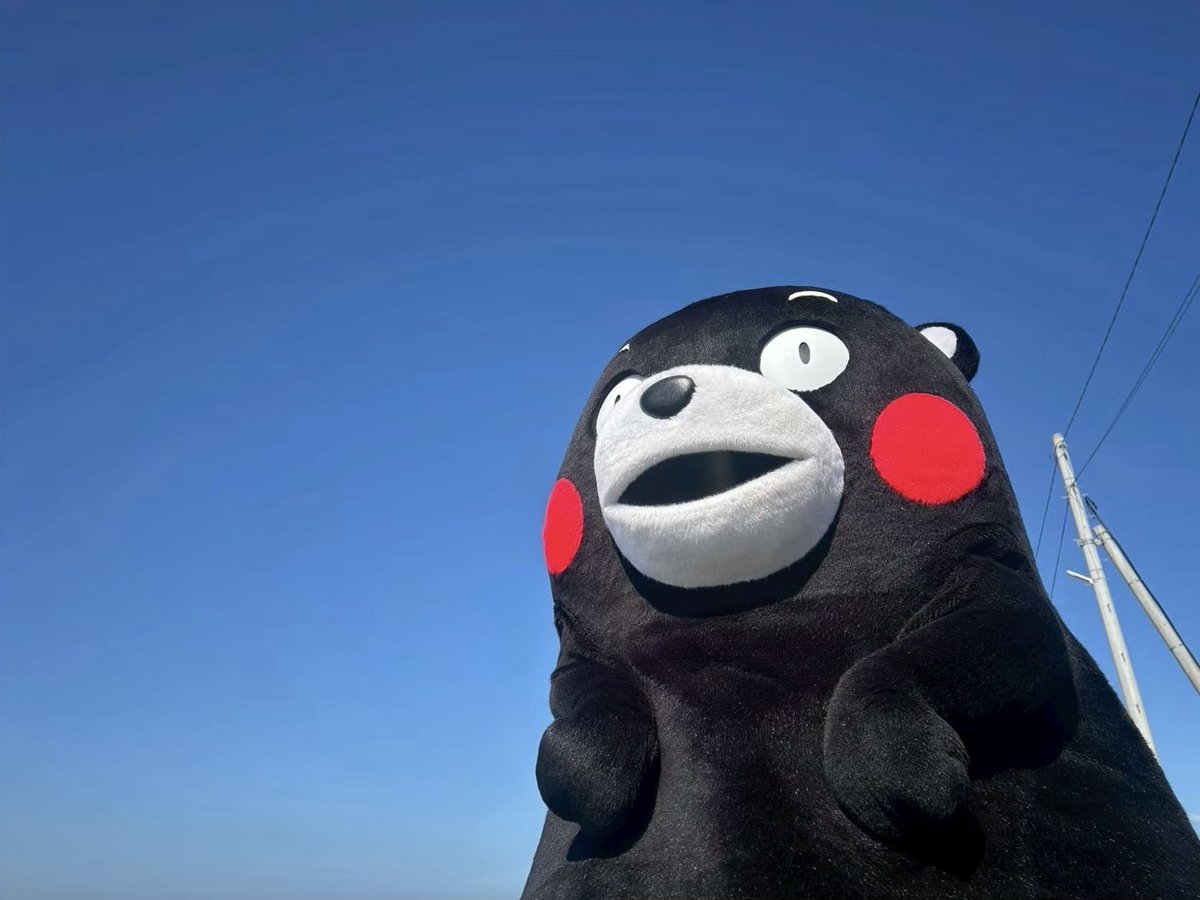 くまモン【公式】 tweet media