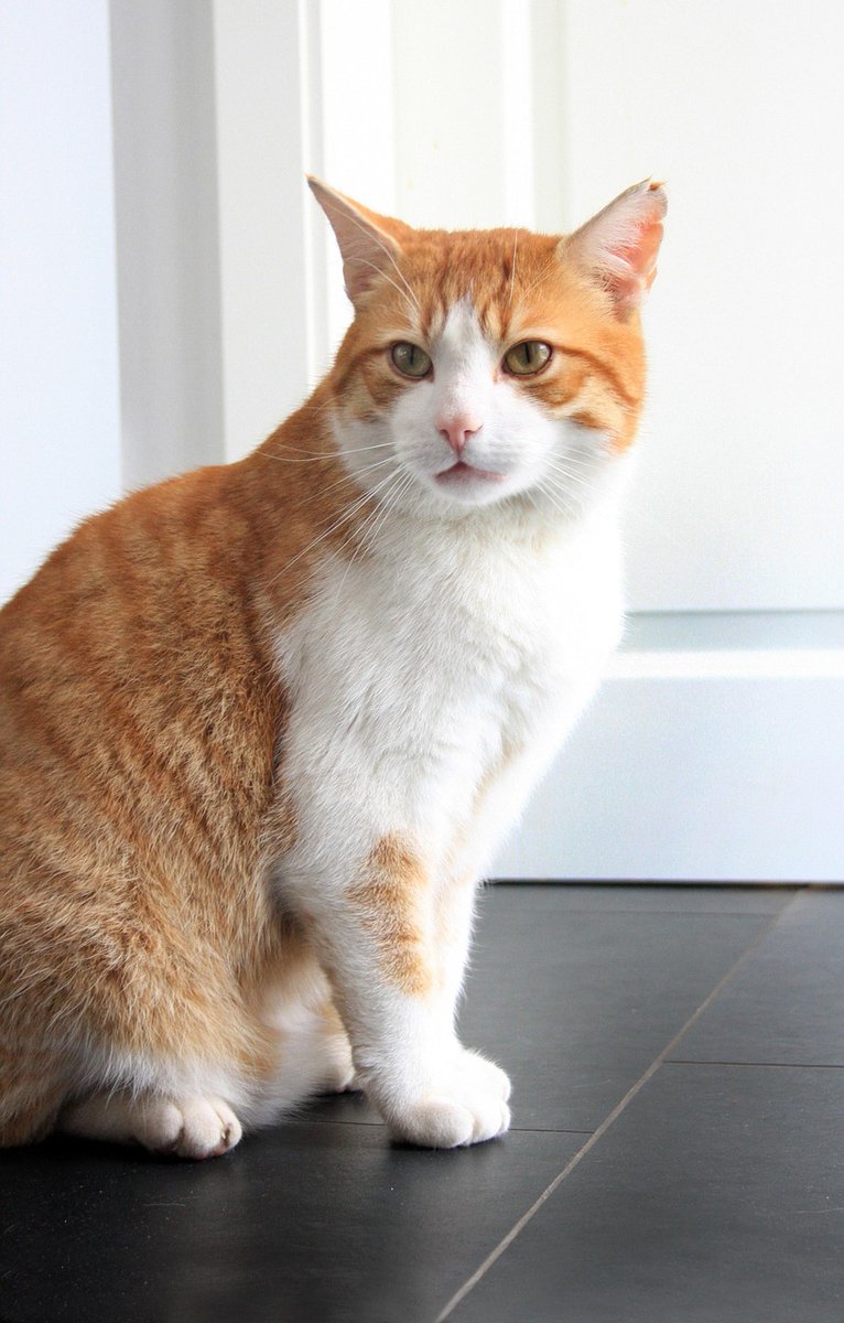 Marcus Cervantes tweet media