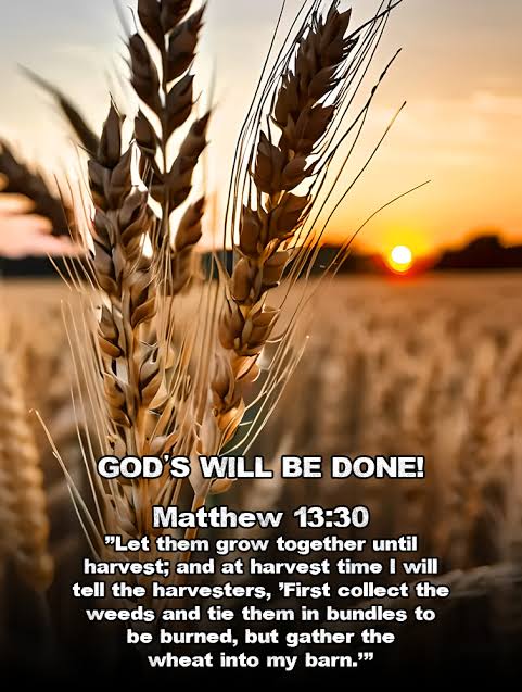 hello edwing tweet media