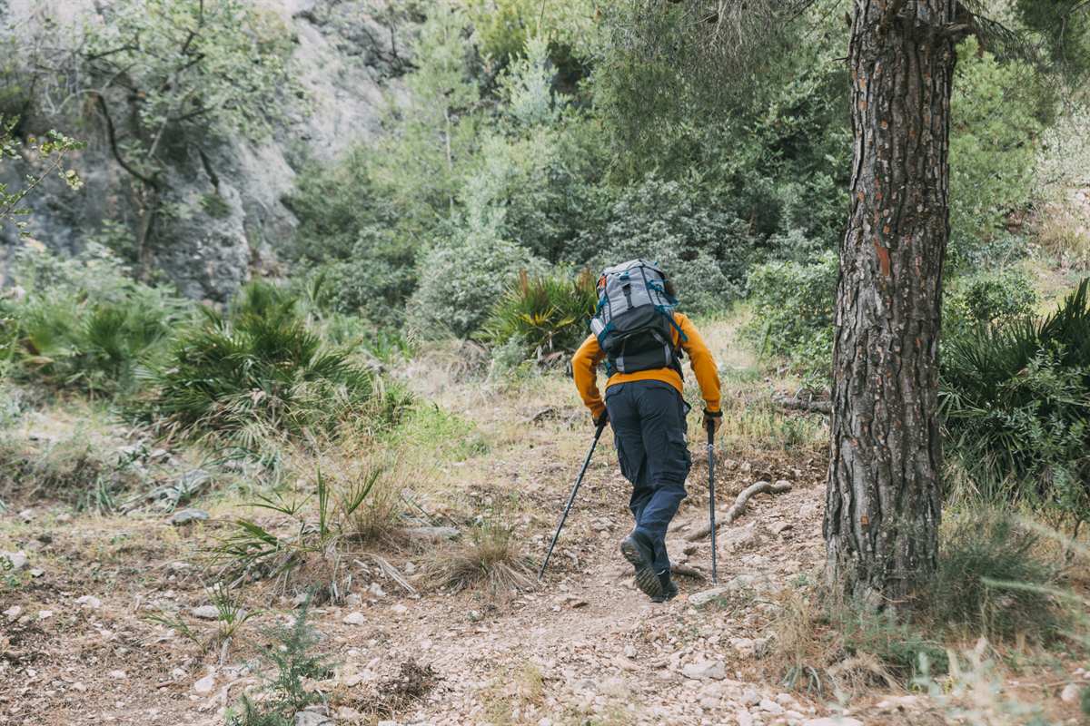 DonovanFalconer's tweet image. Hiking isn’t about reaching the end—it’s about the moments along the way. Unplug, explore, and breathe deeply. 🌄💚 #HikeMore