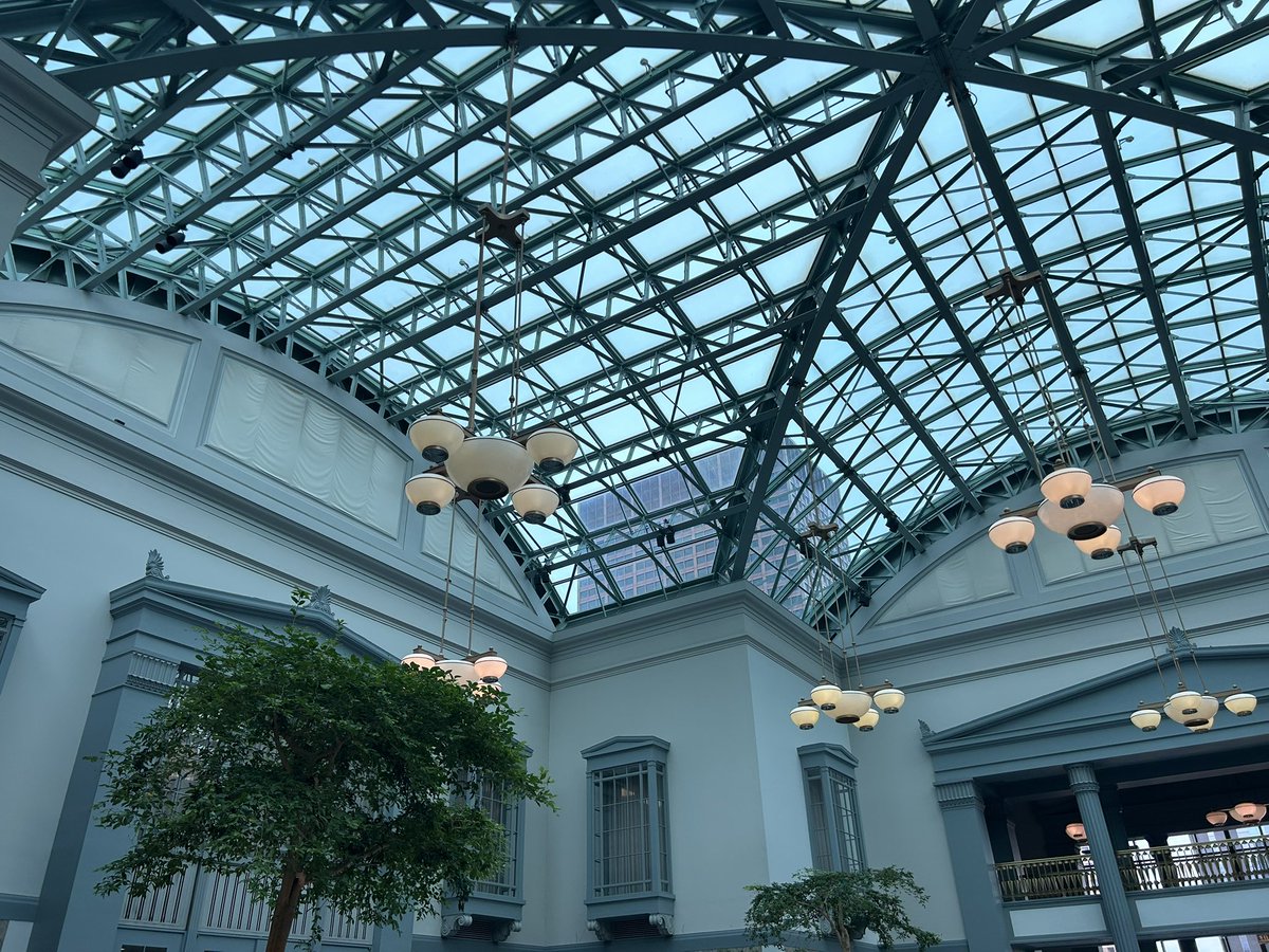 ʕ•ᴥ•ʔ tweet media