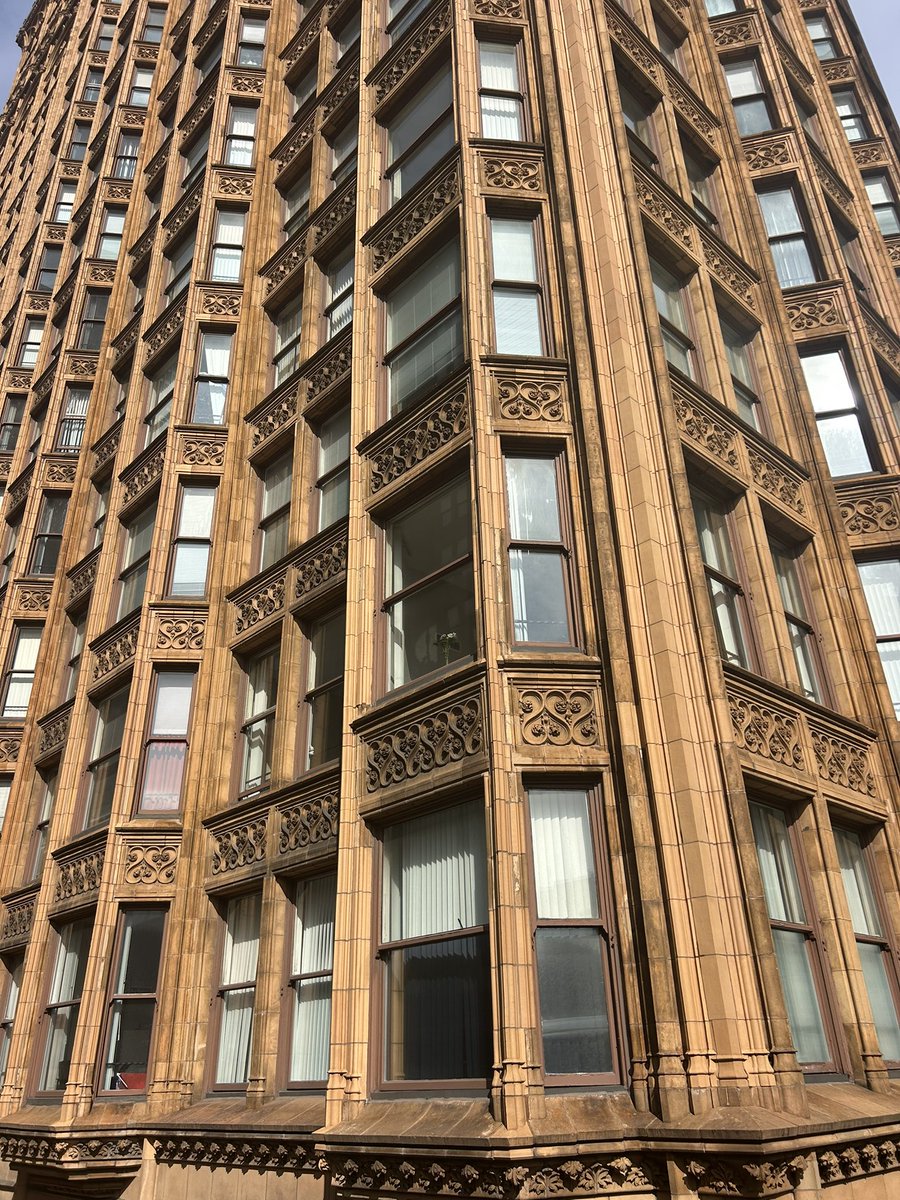 ʕ•ᴥ•ʔ tweet media