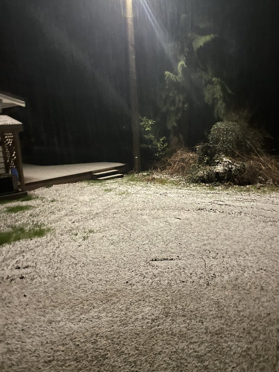 ElijahBman's tweet image. Nice quick dump of hail here in Gibsons BC. Was even able to build a HailMan! 

#bcstorm #bcsnow #hail #shareyourwx
