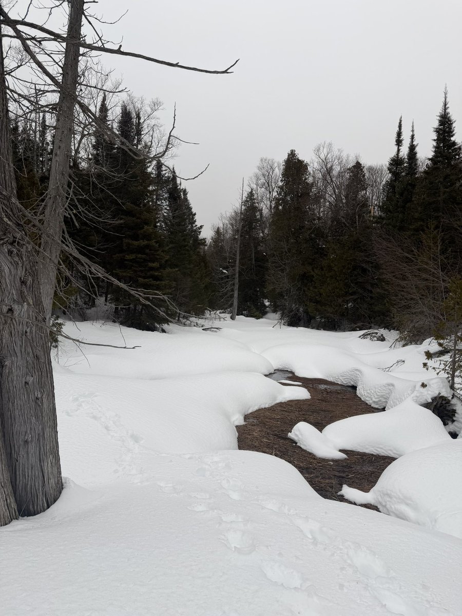 Wyatt Coleman tweet media