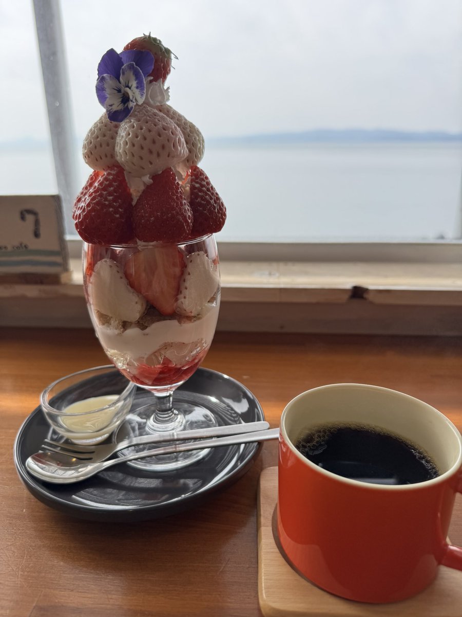 citrinitas_TM's tweet photo. 生きてます https://t.co/kvluEgIzES