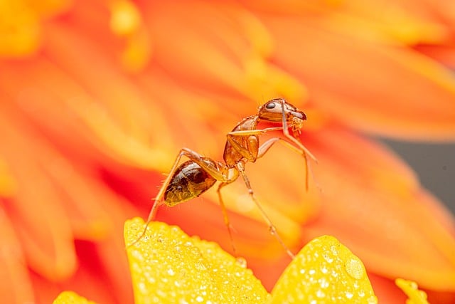 John Shanks tweet media