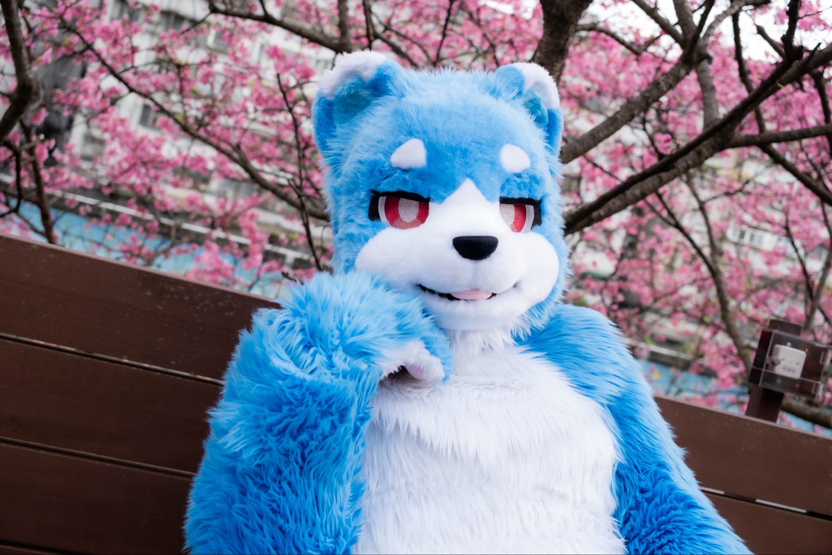 胖達(PANDA)➡️UTFG2026 tweet media