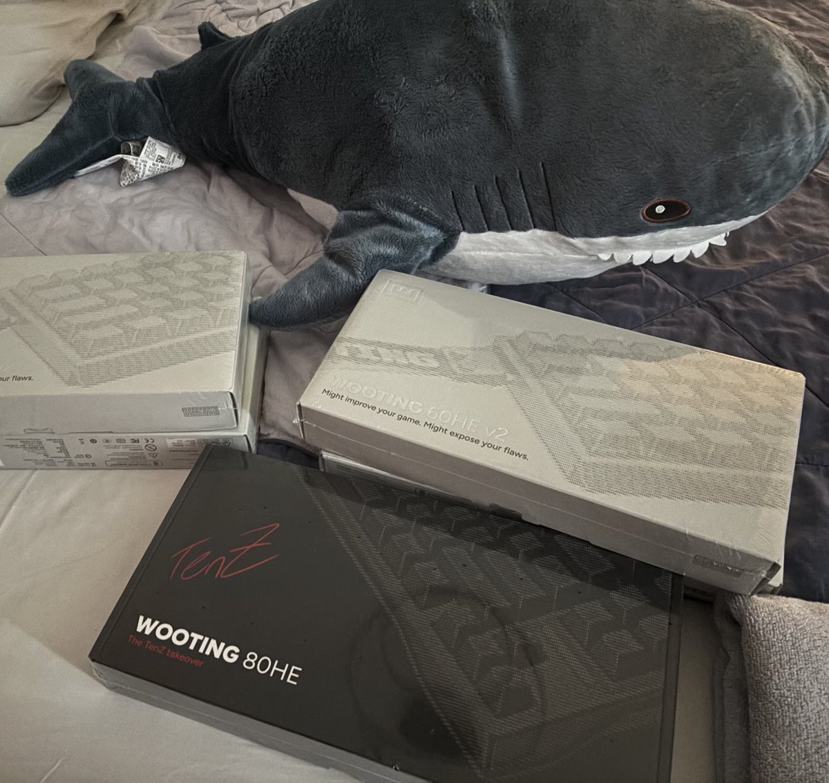 oborozuki (cat?) tweet media