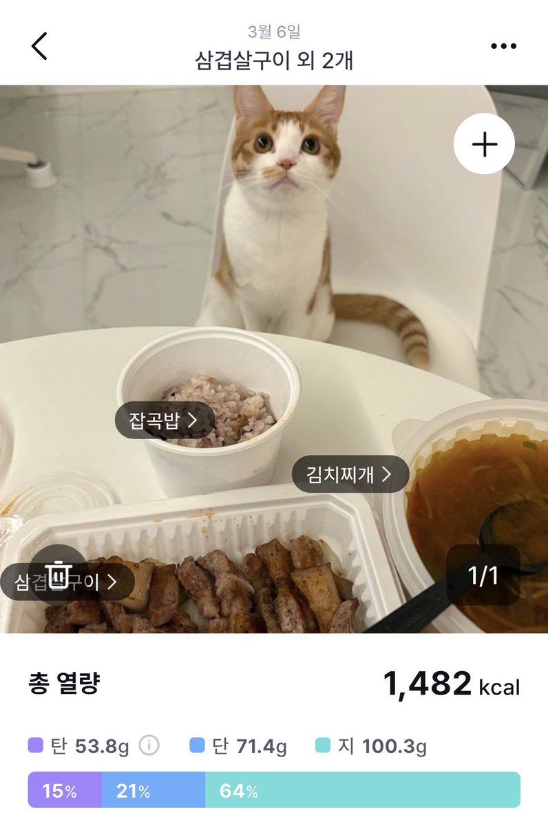 담이냥이 tweet media