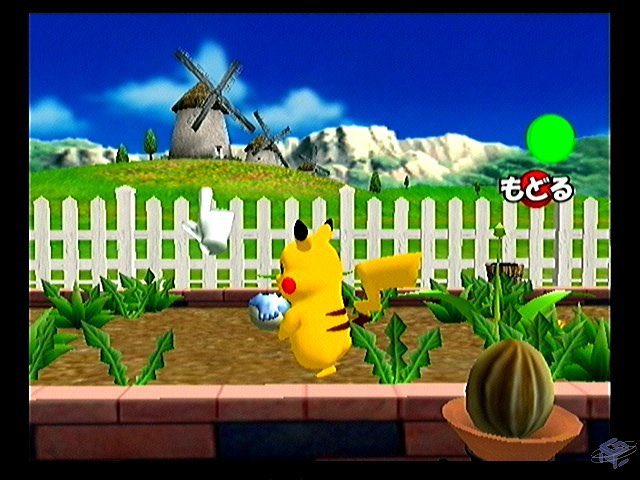 Brookie! ☘️ tweet media