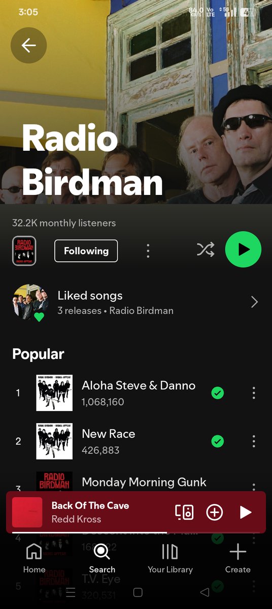 Living Eyes (Radio Birdman & Hard-Ons documentary) tweet media