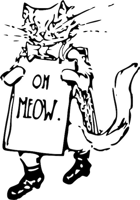 Michelle Anderson tweet media